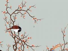 屬鼠1994年女生婚配 1994年屬鼠女孩的婚姻