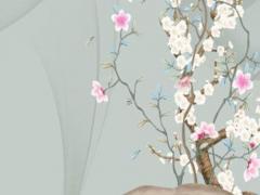 98年屬虎男孩子姻緣 98年屬虎男孩子姻緣什么時(shí)候到來好