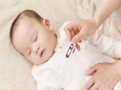 十二生肖運程和婚姻 十二生肖婚姻事業健康運勢