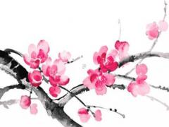 屬蛇2023年全年運勢運程女性,2023年屬蛇終于轉(zhuǎn)運了