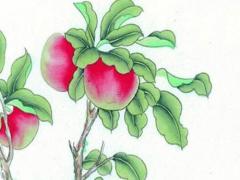 77年屬蛇戴紫色帽好嗎 77年屬蛇戴啥最好