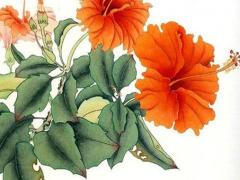 2023年屬猴婚配,屬猴2023年逢兔年好嗎