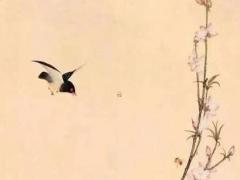 為什么說八字相生相殺 八字相生相克什么意思