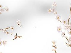 2023屬兔男人全年運勢