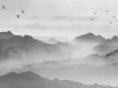 偏財命在八字顯示 命里偏財