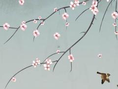 算命中代表桃花的是什么意思 算命術語桃花