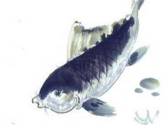 屬龍2000年女的命 屬龍女2000年出生的命運