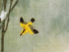 頭婚女二婚男會幸福么 頭婚男二婚女誰更有優勢