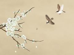 屬兔2023年農歷六月生好嗎,2023農歷六月兔寶寶幾月備孕