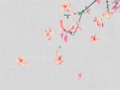 虎人遇鼠年2023運(yùn)勢如何 虎人遇鼠年的流年運(yùn)勢