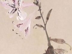 怎么給鴿子配對(duì)快一點(diǎn) 怎樣給鴿子快速配對(duì)