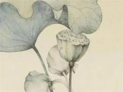 白虎持勢(shì)八字的人是什么人物 白虎在八字里什么意思