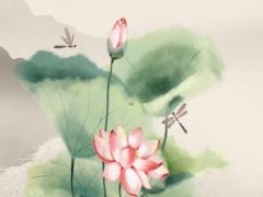 摩羯女收禮物不回微信 摩羯女收了禮物不理你