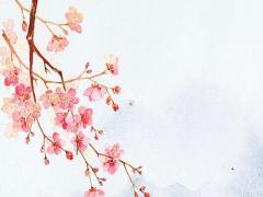 看下我多大會結婚 我的cp必須結婚青梅樹下