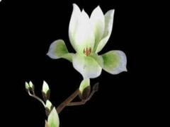 可愛的游戲網名 可愛的游戲網名大全