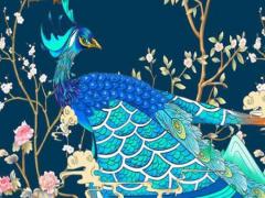 算命有喜事是什么意思 算命喜事是什么意思啊請解釋