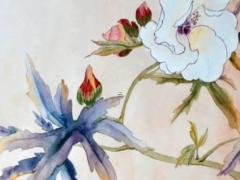 屬鼠女的屬相婚配宜忌 屬鼠女的婚配屬相最好