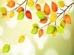 夢見蓮藕片周公解夢 夢見了蓮藕