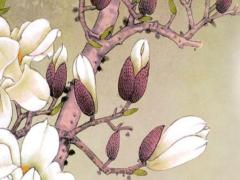 十二生肖相生相克 十二生肖相生相克五行