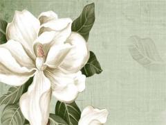 測試有沒有閨女命 算算有沒有女兒命