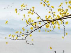 四柱八字時枝帶敗財 時支