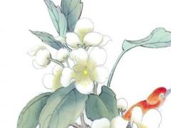 屬龍人2023每月運(yùn)勢