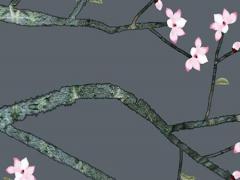 易經中好聽的名字