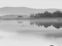 5月適合結婚的好日子2023 2021年5月結婚的好日子