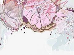 發(fā)財(cái)樹的樹干是什么植物的根 發(fā)財(cái)樹的根是什么樣的