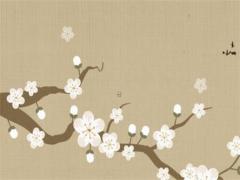 00年屬龍的婚配禁忌,00年屬龍和什么屬相配