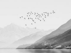 女人八字命旺什么意思 女人八字旺是什么意思