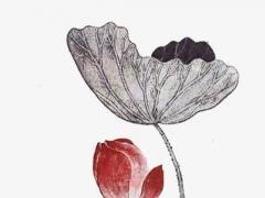 2013年6月5日生辰八字 2013年6月5日出生是什么星座