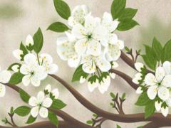 2023年生肖雞多少歲