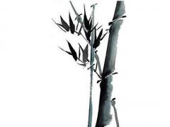 易奇八字婚姻樹解析 易奇八字免費測算2019婚姻樹