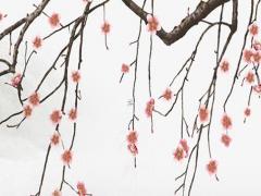 生女孩的最佳受孕時間2023 生女孩的最佳受孕時間2023年