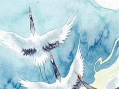 處女座屬羊2023年運勢,屬羊處女座2023