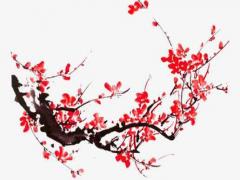 qq三國起名能打特殊 qq三國起名字可以用的符號有哪些？