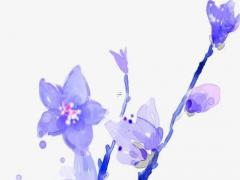 十個字算命什么意思 十字算命法