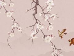 天涯神貼如何改變命運和運氣 天涯神貼集合