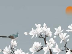 2023年屬龍適合戴什么