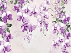 屬猴的桃花運(yùn)1968年 1968年猴女一輩子桃花運(yùn)