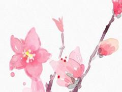 求知欲強是什么意思 求知欲比較強什么意思