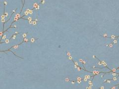 屬兔幾幾年本命年出生,屬兔子的本命年是哪一年