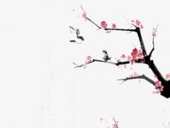 八字命弱什么意思 八字弱是指什么