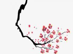 從名字筆畫看桃花 從名字筆畫看桃花好不好
