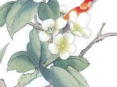 名字配 名字配隊