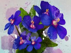 2023年生肖雞全年運勢