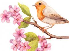 知道了生辰八字怎樣害人 知道生辰八字能讓她會愛你嗎