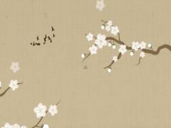 五股辮的編法是什么 五股辮子的編法大全有圖解