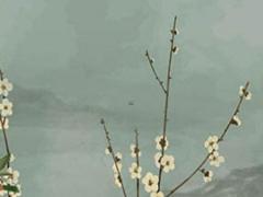 算命男票會離婚 算命會離婚就一定會離婚嗎